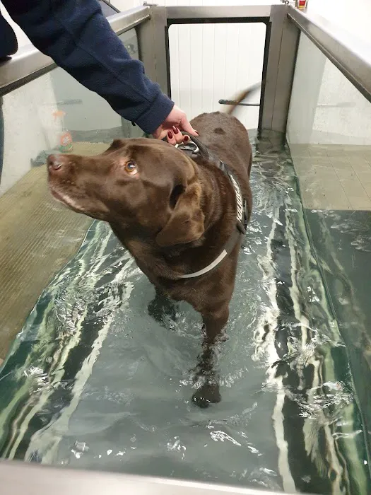 Doncaster Hydrotherapy Centre Picture 2