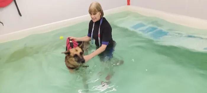 Doncaster Hydrotherapy Centre Picture 1