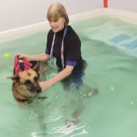 Doncaster Hydrotherapy Centre ico