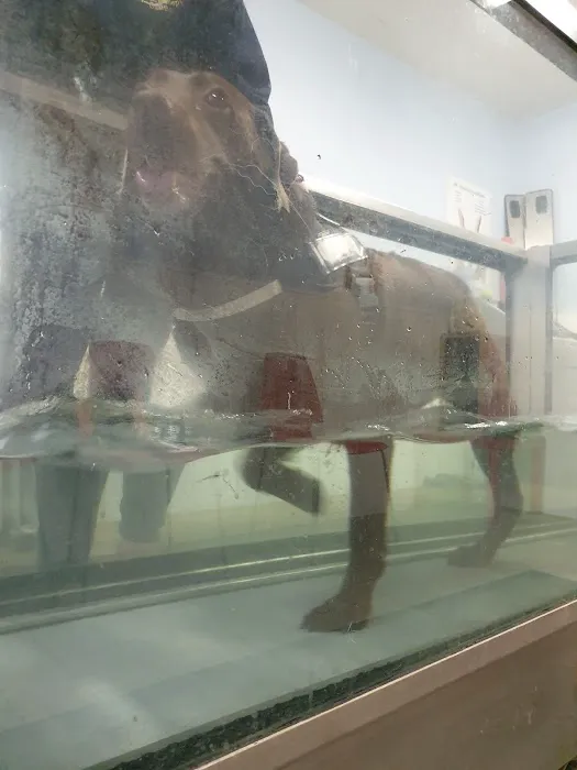 Doncaster Hydrotherapy Centre Picture 3