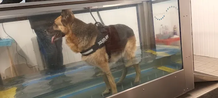 Doncaster Hydrotherapy Centre Picture 9