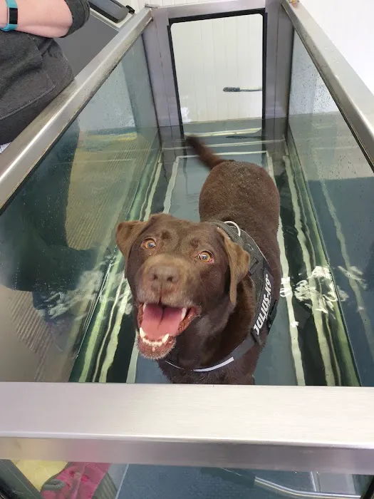 Doncaster Hydrotherapy Centre Picture 10