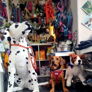 MinMont Pets - Natural Choice Picture 9