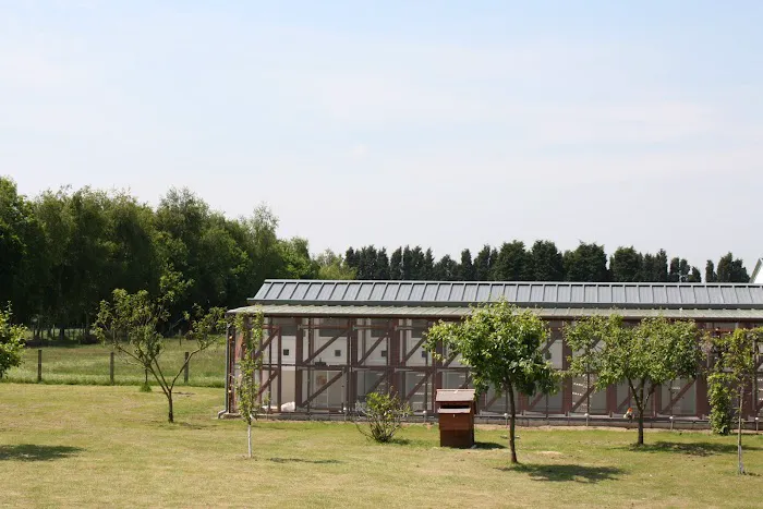 Appletree Cattery Picture 2