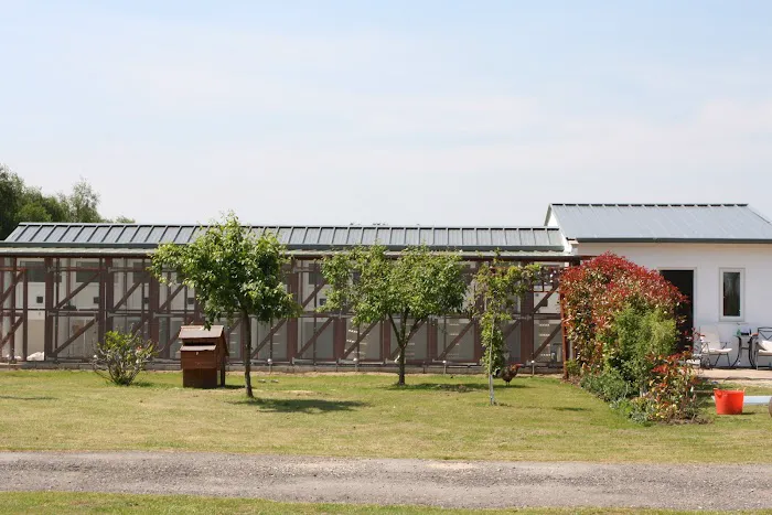 Appletree Cattery Picture 3