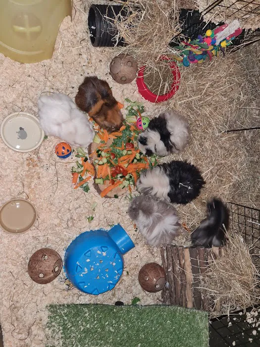 Evolution Animal Care - Thorne Picture 4