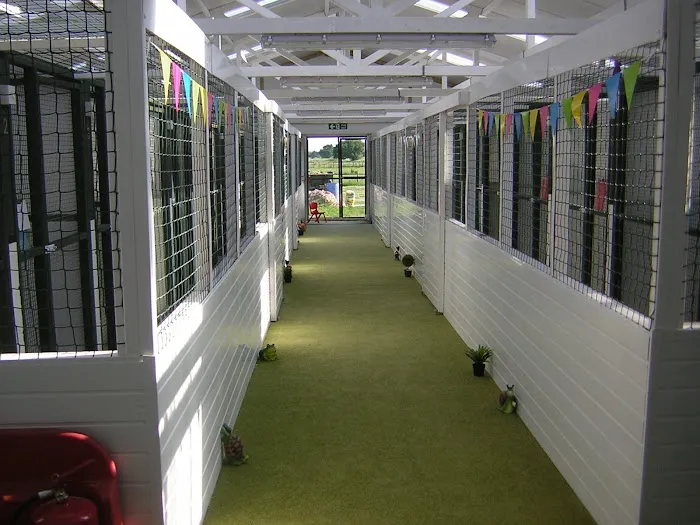 Glenrose Cattery Picture 3