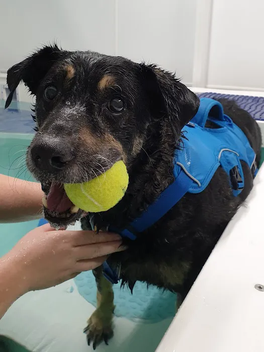 Yorkshire Canine Therapy Centre Ltd Picture 5