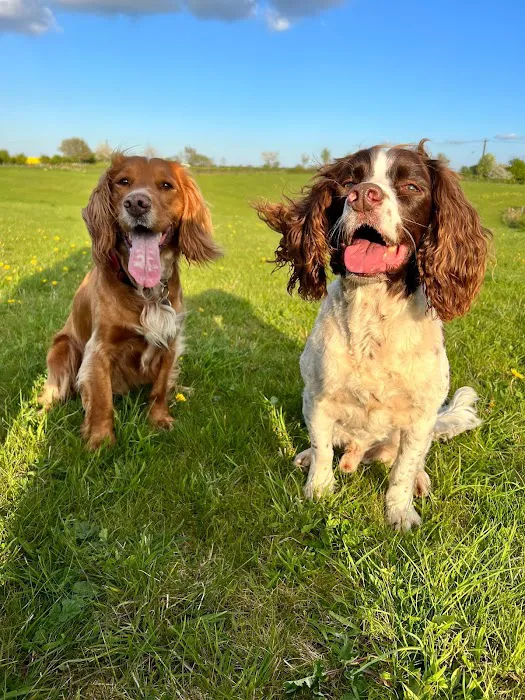 Yorkshire Canine Therapy Centre Ltd Picture 8