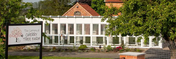 The Cattery @ Cherry Tree Farm Picture 2