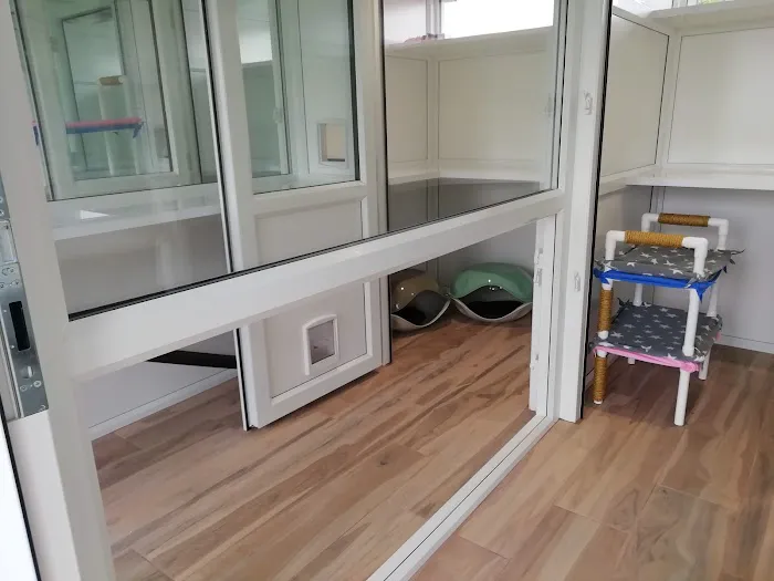 The Cattery @ Cherry Tree Farm Picture 6
