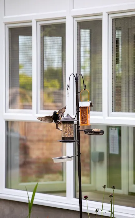 The Cattery @ Cherry Tree Farm Picture 4