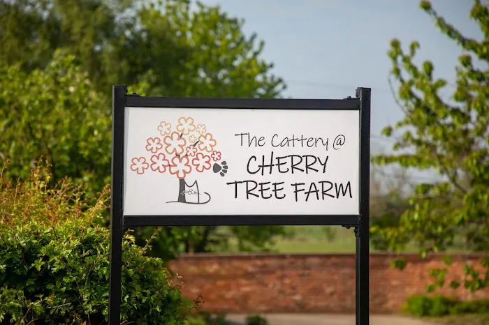 The Cattery @ Cherry Tree Farm Picture 10