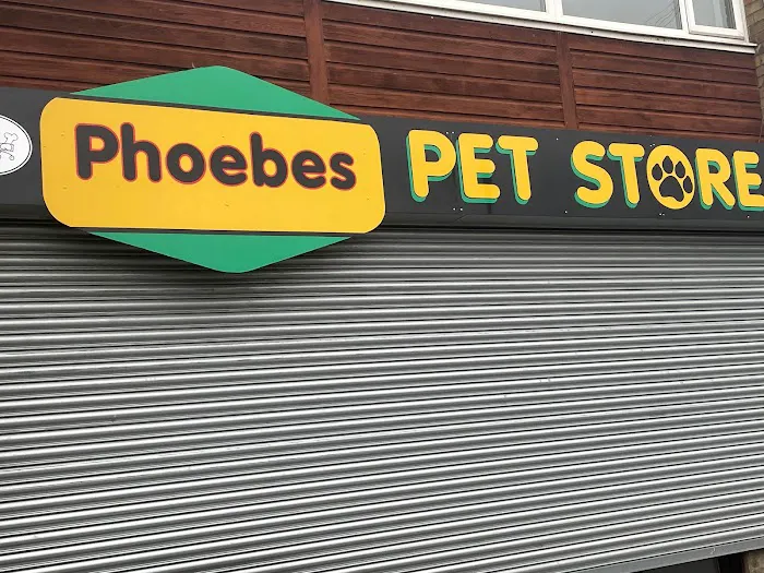 Phoebes pet store Picture 2