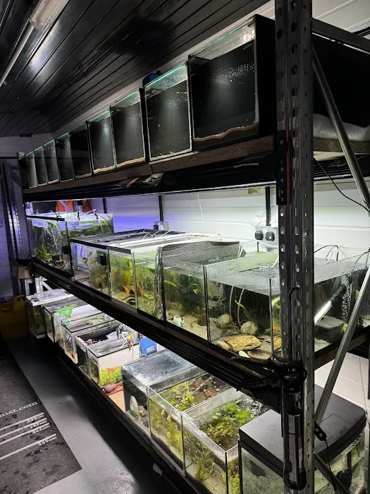 Doncaster Aquatics (D&B) Picture 2