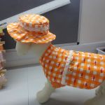 K9 Design Ltd