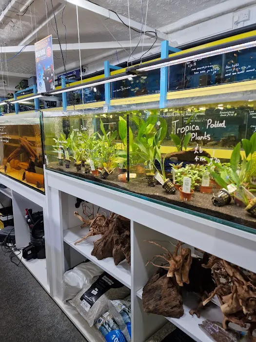 Ferrybridge Aquatics Picture 2