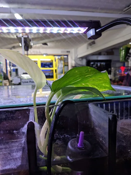 Ferrybridge Aquatics Picture 5