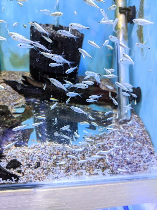 Ferrybridge Aquatics Picture 6