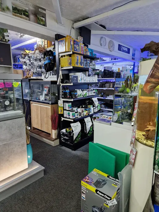 Ferrybridge Aquatics Picture 8