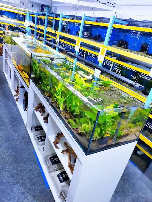 Ferrybridge Aquatics Picture 9