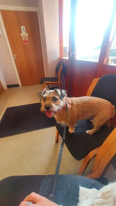 Galtres Veterinary Surgery Picture 1