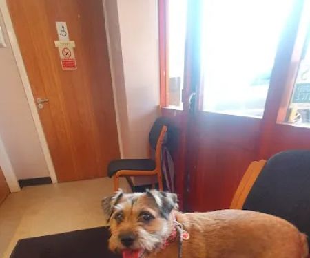 Galtres Veterinary Surgery