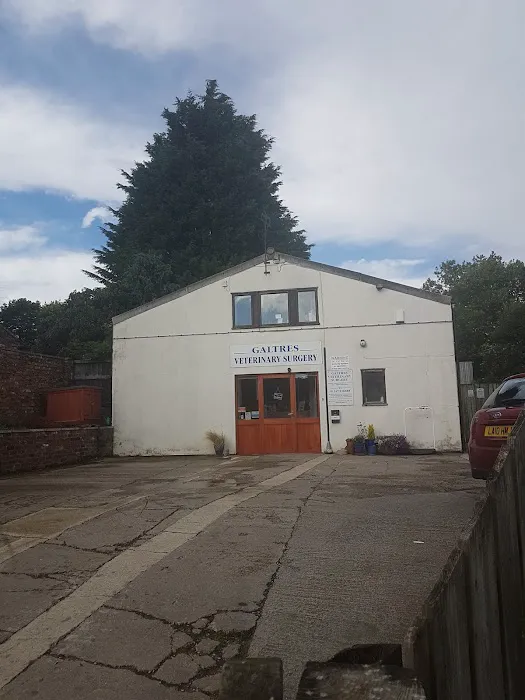 Galtres Veterinary Surgery Picture 6