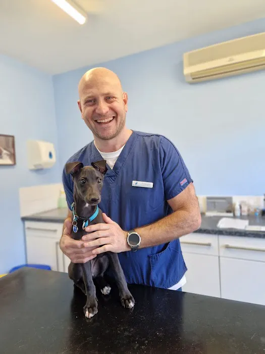 Your Family Vets Picture 7