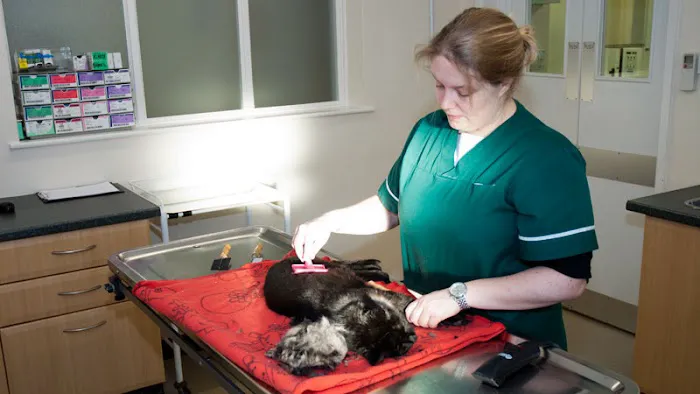 Forest House Veterinary Surgery Picture 8