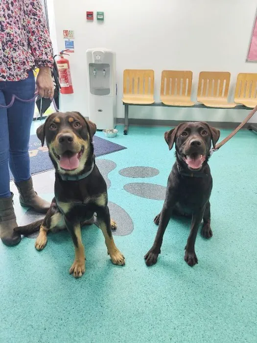 Vets4Pets - Harrogate Picture 1