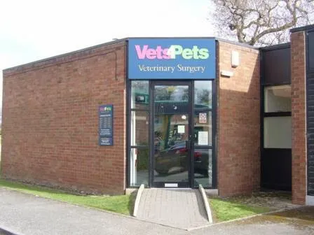 Vets4Pets - Harrogate Picture 6