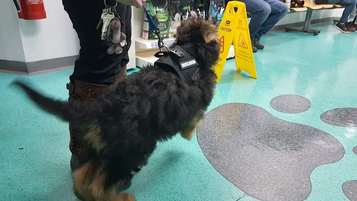 Vets4Pets - Harrogate Picture 4
