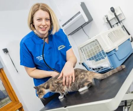 Bishopton Veterinary Group Easingwold