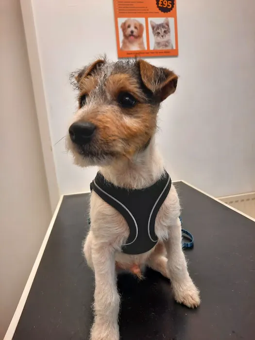 Bishopton Veterinary Group Easingwold Picture 4