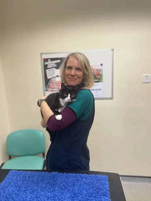 Bishopton Veterinary Group Easingwold Picture 3
