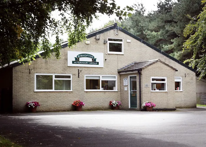 Bishopton Veterinary Group Easingwold Picture 8