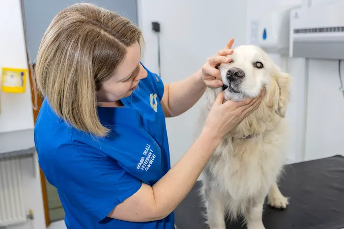 Bishopton Veterinary Group Easingwold Picture 9