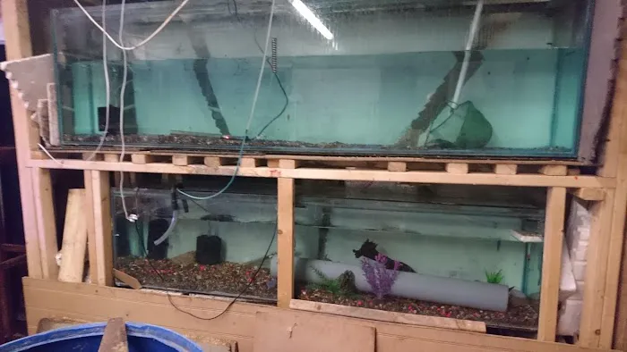 from fry fish farm Picture 5