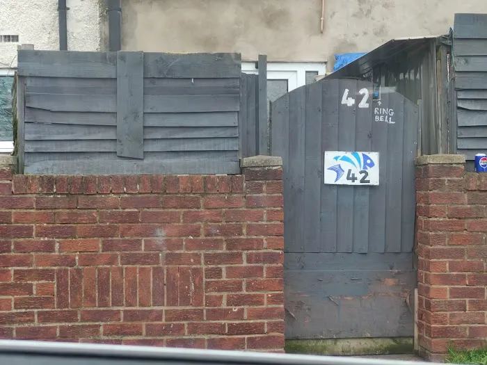 from fry fish farm Picture 6