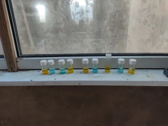 from fry fish farm Picture 8