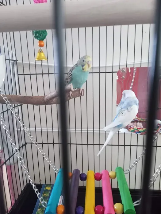 Markham Pet Centre Picture 1