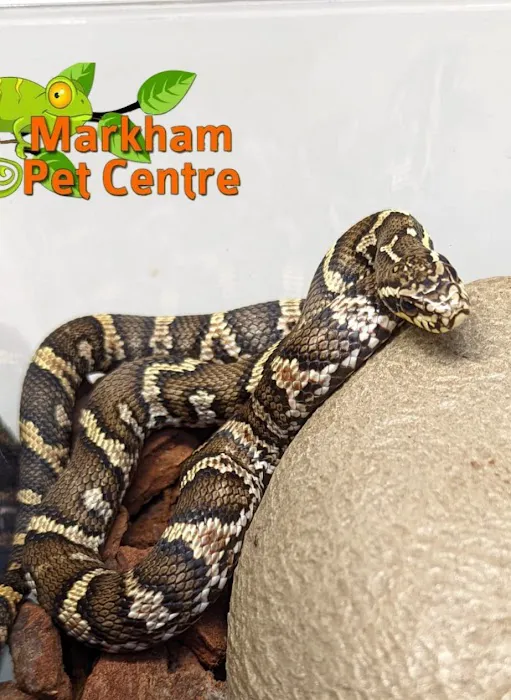 Markham Pet Centre Picture 7