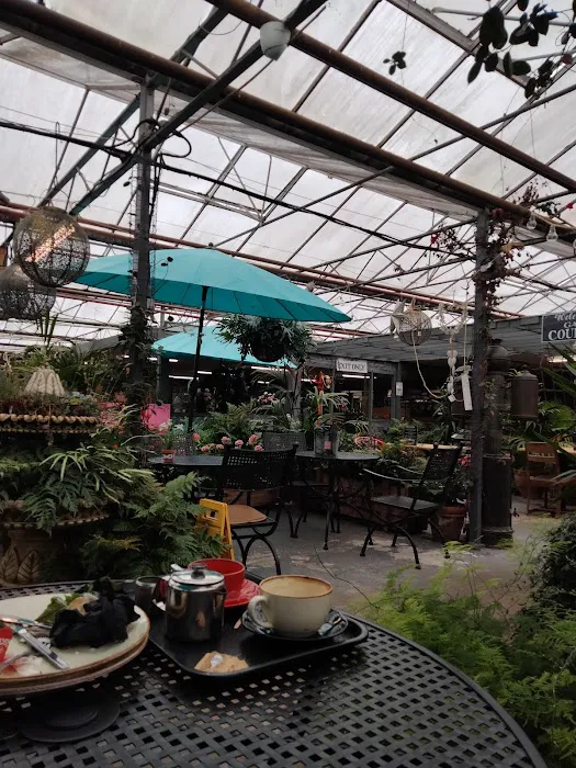 Markham Pet Centre Picture 4