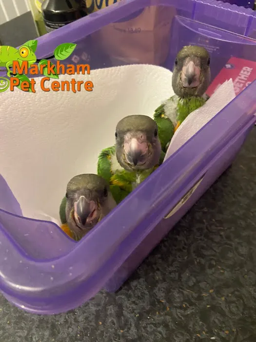 Markham Pet Centre Picture 10