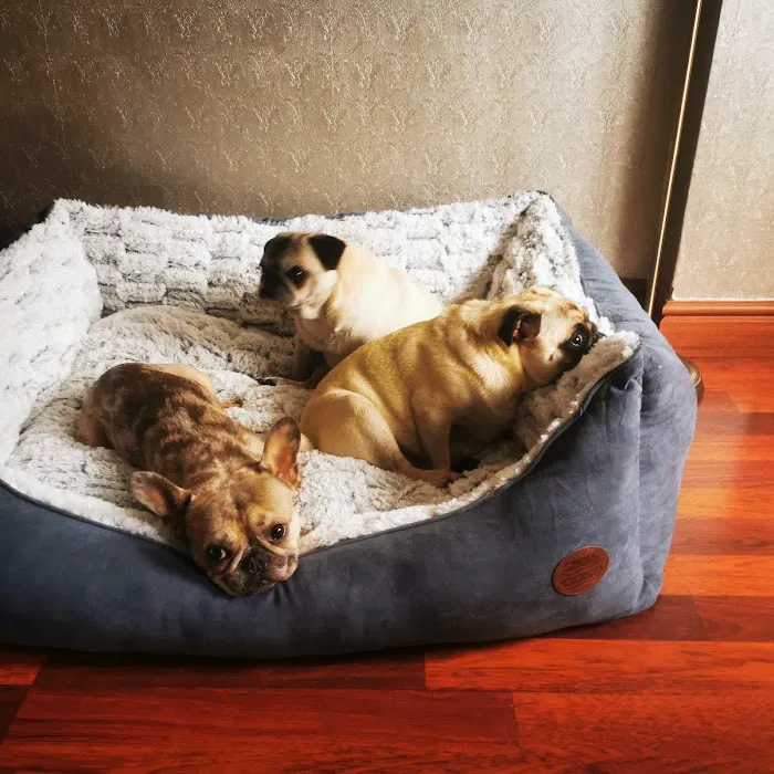 Jollyes - The Pet People Doncaster Picture 1