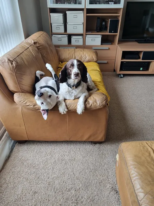 Jollyes - The Pet People Doncaster Picture 2