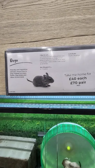 Jollyes - The Pet People Doncaster Picture 8