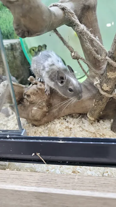 Jollyes - The Pet People Doncaster Picture 7