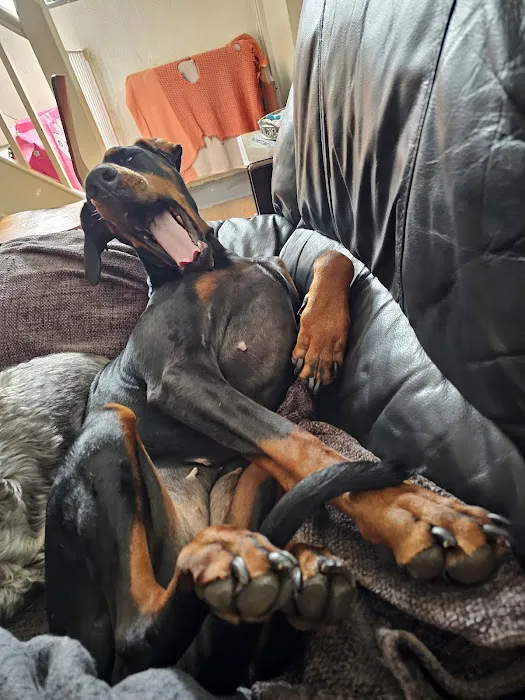 Jollyes - The Pet People Doncaster Picture 6